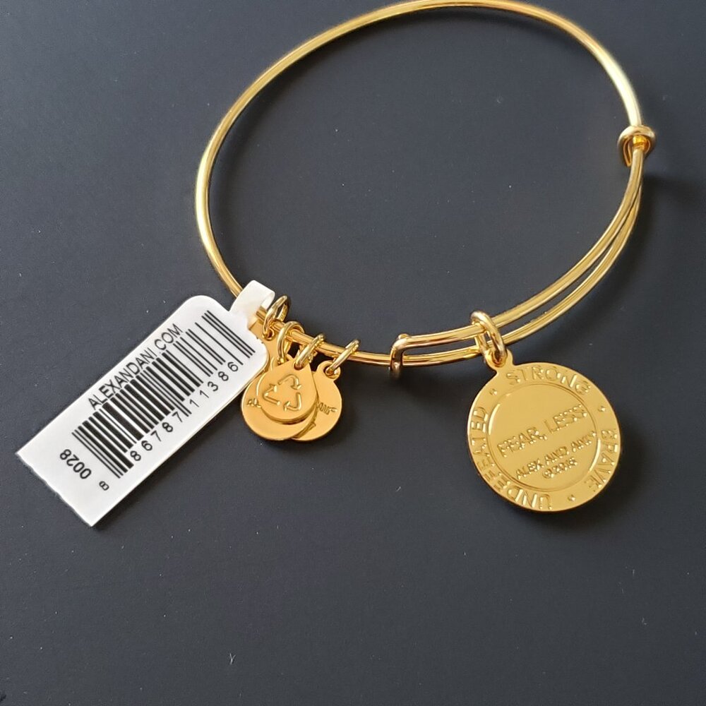 Nwt Alex And Ani Fearless Life Is Good Bangle 756 - image 4